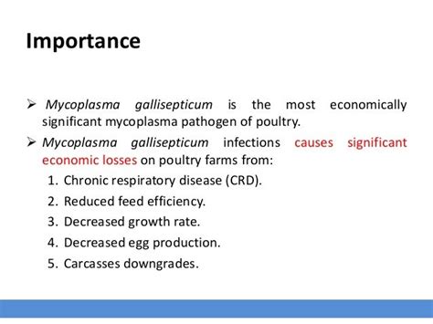 Avian Mycoplasmosis_Disease Overview