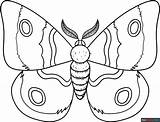 Moth Coloring Page  Easy Drawing Guides sketch template
