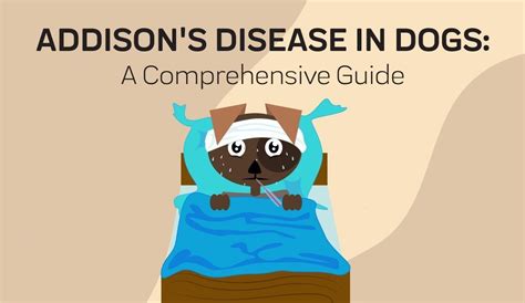 Addison’s Disease in dogs: Its Causes, Symptoms and Treatment