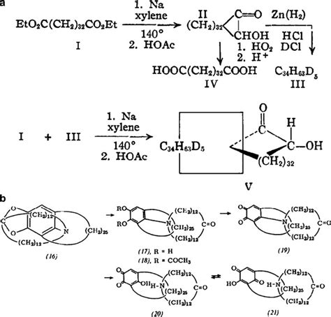 The two applied approaches to catenane synthesis prior to 1983. (a) The ...