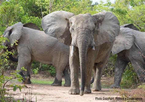 Ecotourism in Ghana - touringghana.com