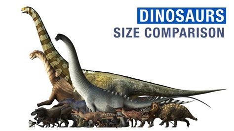 Dinosaurs Size Comparison 2022! - YouTube