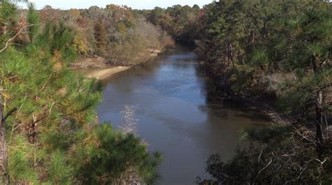 Cliffs of the Neuse State Park | Kids in Parks