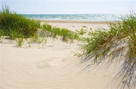 Sand Dunes and Sea Oats on a Pristine Florida Beach Stock Image - Image ...