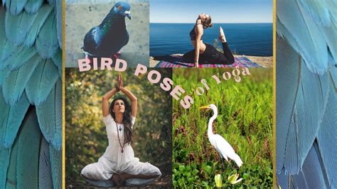 Bird Poses of Yoga | Real Well - YouTube