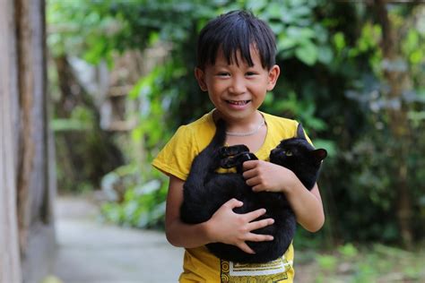 Smiling Boy with Cat · Free Stock Photo