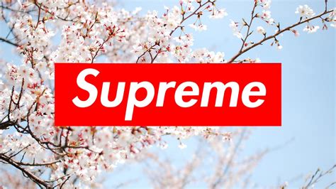 🔥 Free download Supreme Wallpapers on WallpaperPlay [2560x1440] for your Desktop, Mobile ...