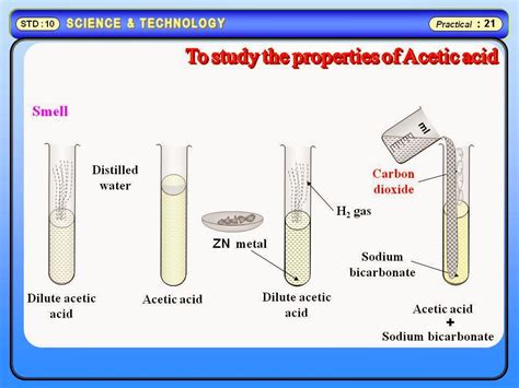 Physics Learn: Physical and chemical properties of acetic acid. Science GSEB std 8 to 12.