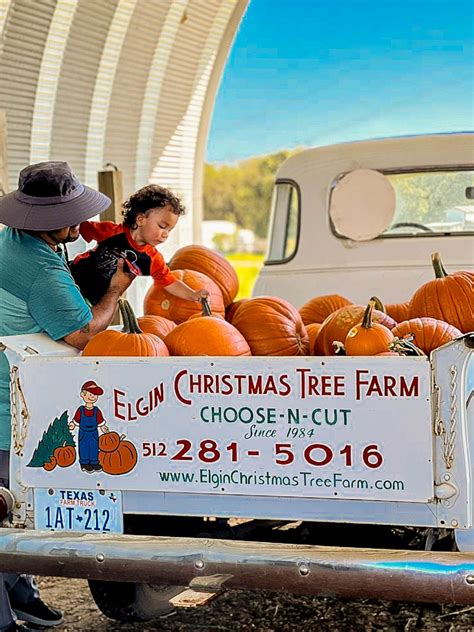 Best Pumpkin Patches In Austin (2024) | The Austin Things