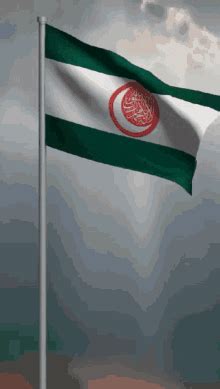 Pakistan Flag Gif GIFs | Tenor