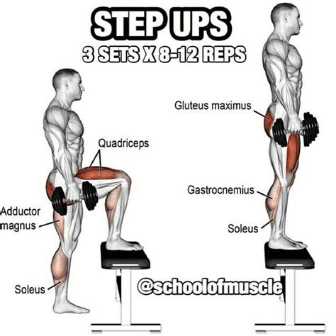 Step ups Step Up Workout, Best Leg Workout, Leg Day Workouts, Bottom Workout, Fun Workouts ...