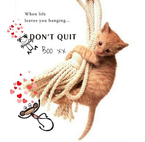 Hang in there fellow sufferers♡ | Hang in there cat, Cats and kittens ...