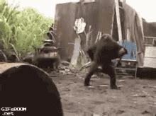 Chimp Ak47 GIF - Chimp Ak47 - Discover & Share GIFs