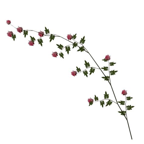 Rose Vine PNG Image - PNG Mart