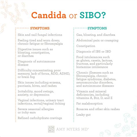 How Do I Know If I Have Candida or SIBO? | Amy Myers MD