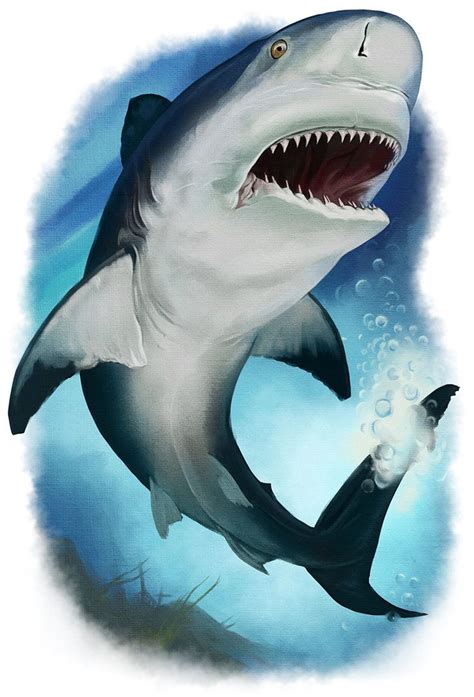 Bull Shark by Critical-Dean on deviantART | Shark art, Bull shark ...