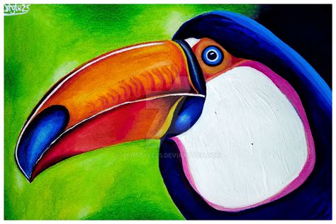 The Toucan Artwork by ASHSTYLE25 on DeviantArt