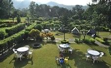 Best Time Month to Visit Jim Corbett National Park for Tiger Safari ...