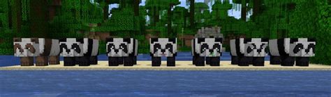 How To Breed Pandas In Minecraft And Everything You May Want To Know