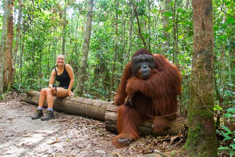 Camp Leakey Tour Borneo | Authentic Indonesia Blog