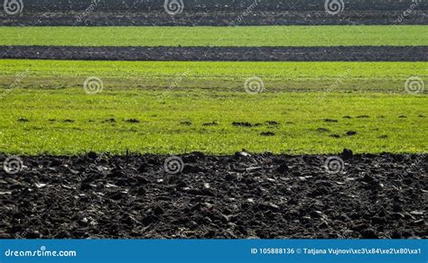 Fertile Soil stock photo. Image of fertilizer, farm - 105888136