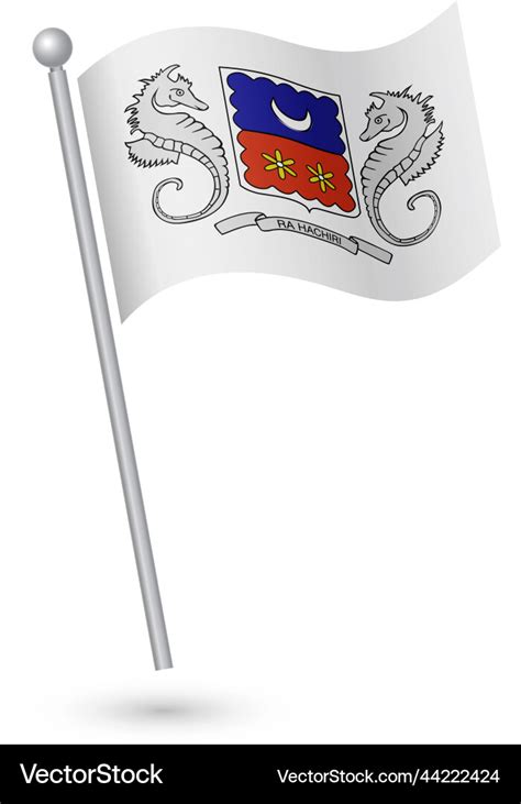 Mayotte national flag Royalty Free Vector Image