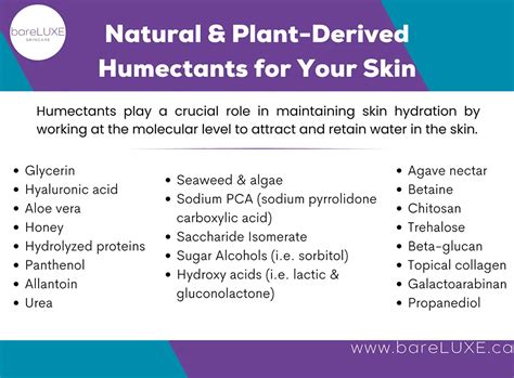 Top 22 Natural Humectants You Must Know for Skincare – bareLUXE Skincare