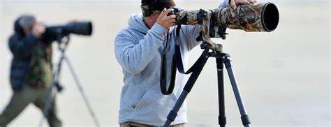 How to photograph wildlife | Wildlife Safaris Tours | Kenya Tours