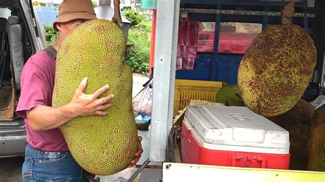 Giant Jackfruit Cutting Skills - The king of fruits - YouTube