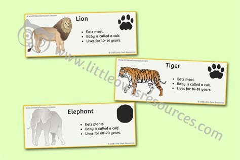 FREE Zoo Animal Fact Cards printable Early Years/EY (EYFS) resource ...