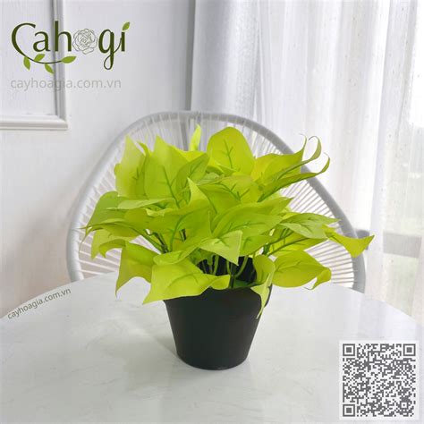 Chậu Cây Giả Trang Trí Để Bàn Cỡ Nhỏ 20x 20 Cm Bộ 2 – CaHoGi