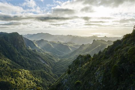 Morning light The Pinnacles Coromandel NZ. | Forest park, Nature travel ...