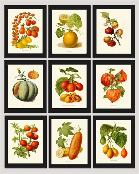 Vegetable Wall Art Print Set of 9 Beautiful Colorful - Etsy