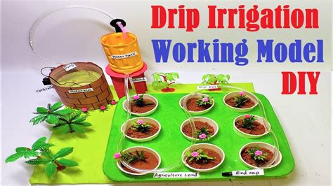 drip irrigation working model 3d science project | DIY using paper cup and cardboard ...