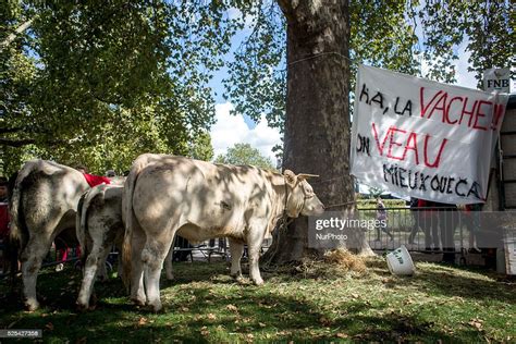 Farmer protest and blockade on the A6 highway on the arrival in... News ...