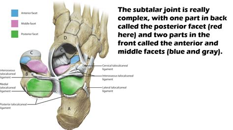 Subtalar Fusion? Do You Really Need This Surgery? - Regenexx