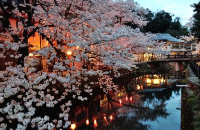 HOT SPRINGS & CHERRY BLOSSOMS - Visit Kinosaki