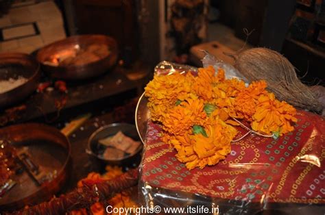 Gangaur Festival | Festival of Rajasthan | Festivals of India