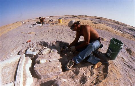 Gallery | Paul Sereno - Paleontologist | The University of Chicago