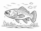 Playful Lake Trout Coloring Scene  Page sketch template