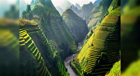 Rice terraces of Sapa in Vietnam is a good reason to go see the country, - Times of India Travel