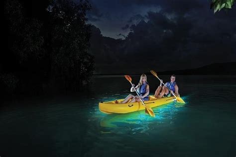 Vieques Bioluminescent Bay Night Kayak Tour 2023