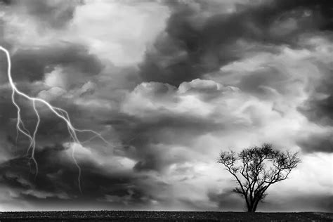 "Black and White Storm with Lightning and Tree" by Rebecca Haegele ...