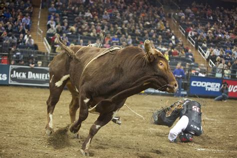 Thoughts From My Camera: Professional Bull Riding at MSG - Buckoff