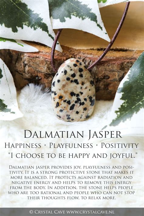 67+ Dalmatian Jasper Stone Meaning Picture - Bleumoonproductions