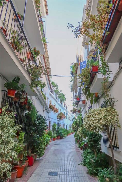 an alley way with many potted plants on either side and balcony ...