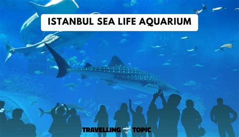 Istanbul Sea Life Aquarium | My Experience + Addres + Photos