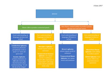 Aphasia summary Flowchart - E Geier, 2017 Mixed Non-Fluent Aphasia: some ability to produce ...