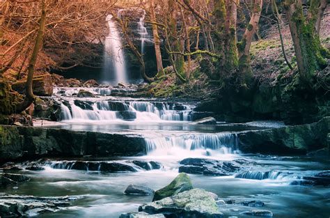 forest, Waterfall, River, Landscape Wallpapers HD / Desktop and Mobile Backgrounds