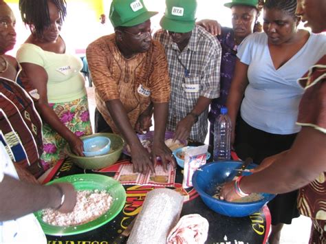 Sierra Leone Agriculture – The Sierra Leone Telegraph